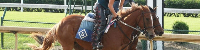 Hard-Lucky Mare Produces 'Lucky' Filly for First-Time Owners