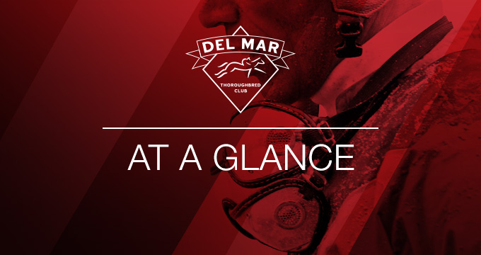 Del Mar at a glance data report graphic