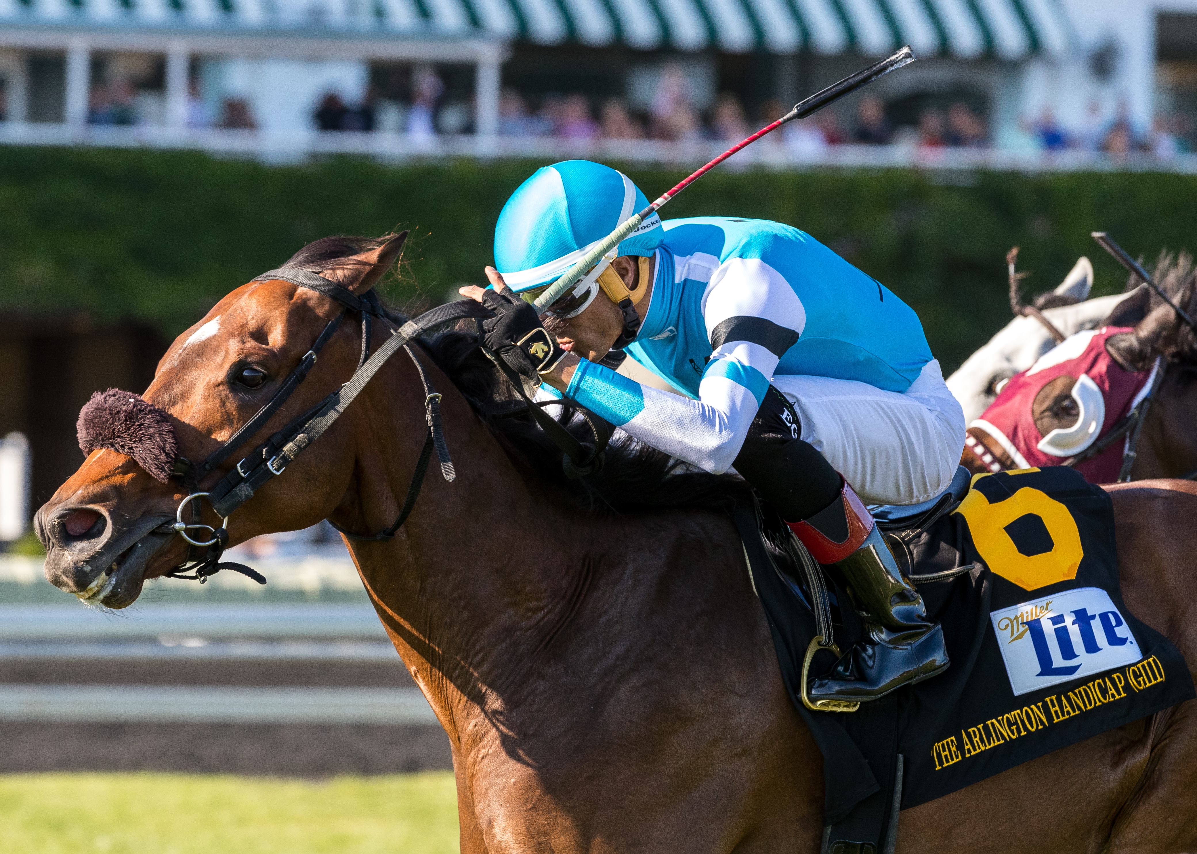 Ghost Hunter bags first graded score in Arlington ‘Cap