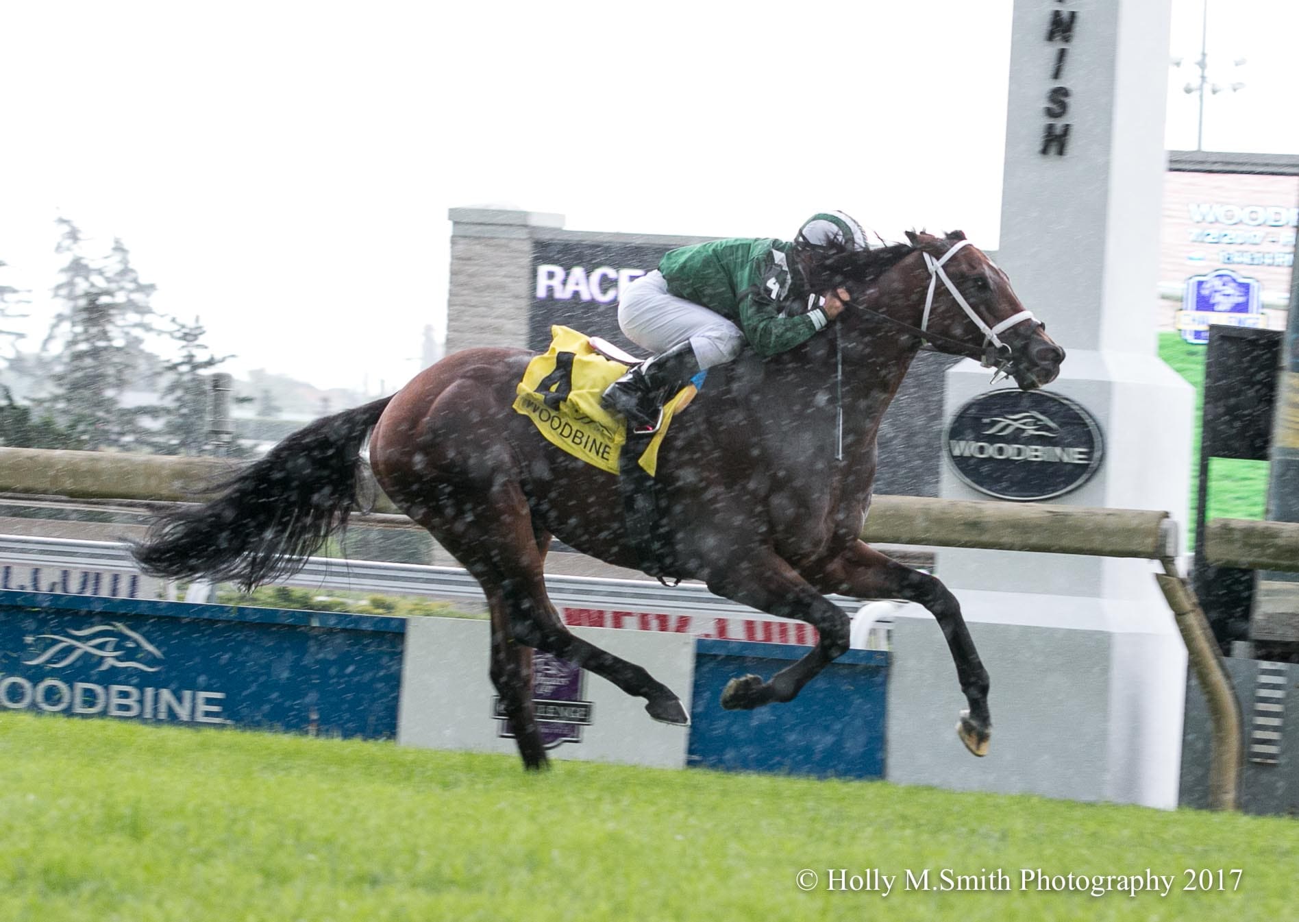 Green Mask punches ticket to Breeders’ Cup Turf Sprint with Highlander victory