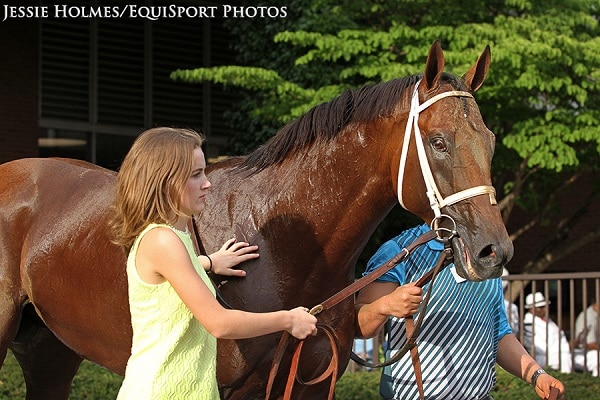 Stars & Stripes winners/runners exit races in good order