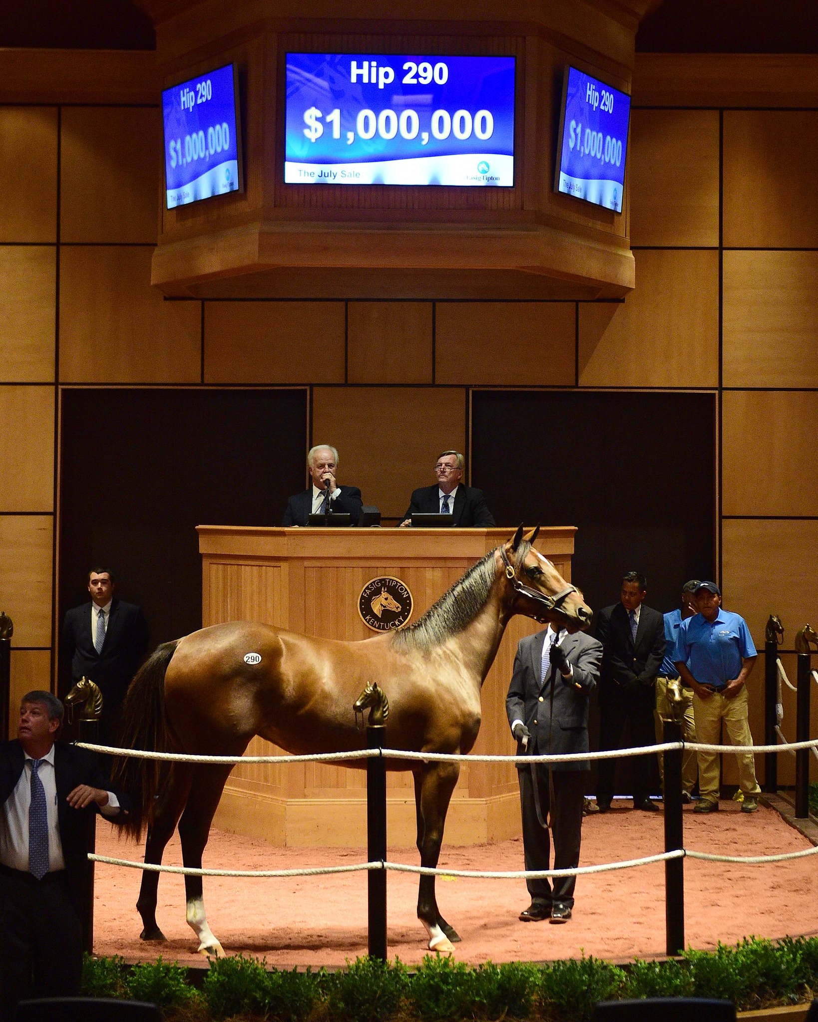 Medaglia d'Oro filly brings $1 million at Fasig-Tipton July