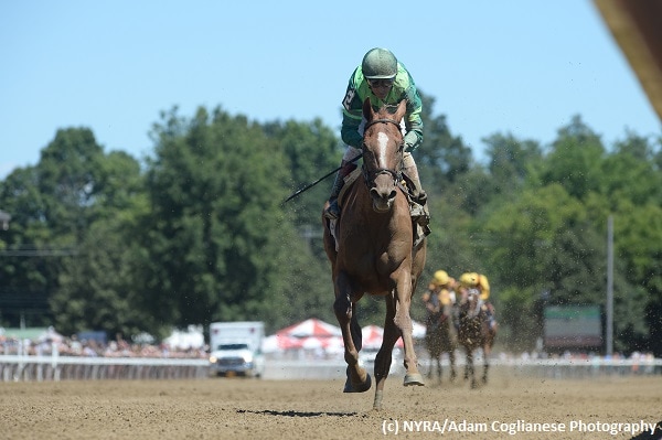 Paid Up Subscriber romps in Shuvee