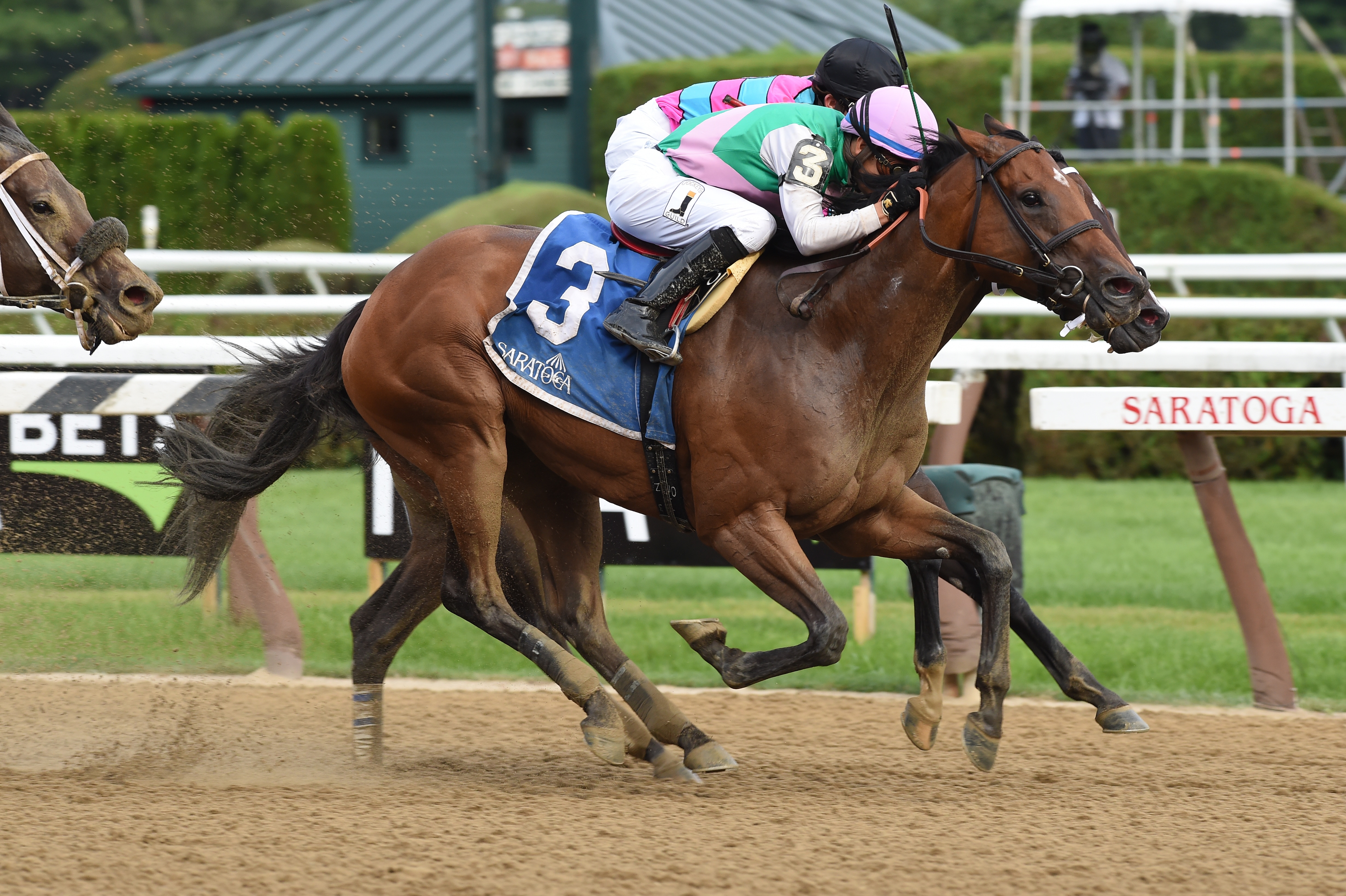 Paulassilverlining pulls out another close one in Honorable Miss