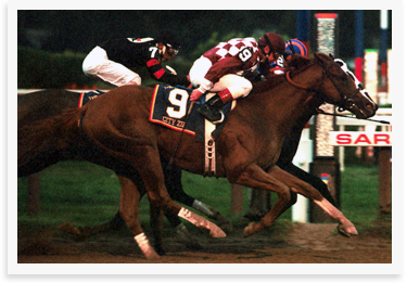 Prominent sire City Zip euthanized at 19