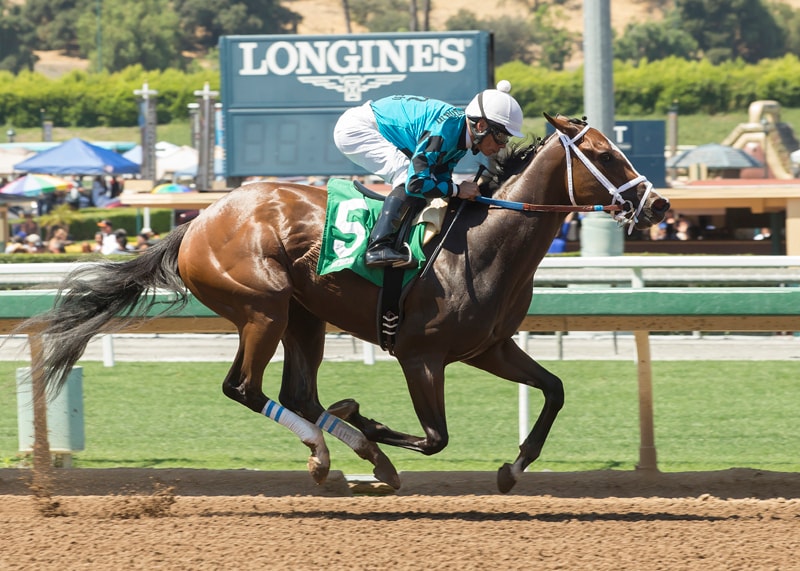 Juvenile fillies impress at Santa Anita