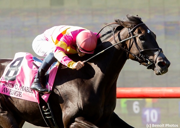 Avenge faces seven in Yellow Ribbon Handicap; Surrender Now tops Sorrento