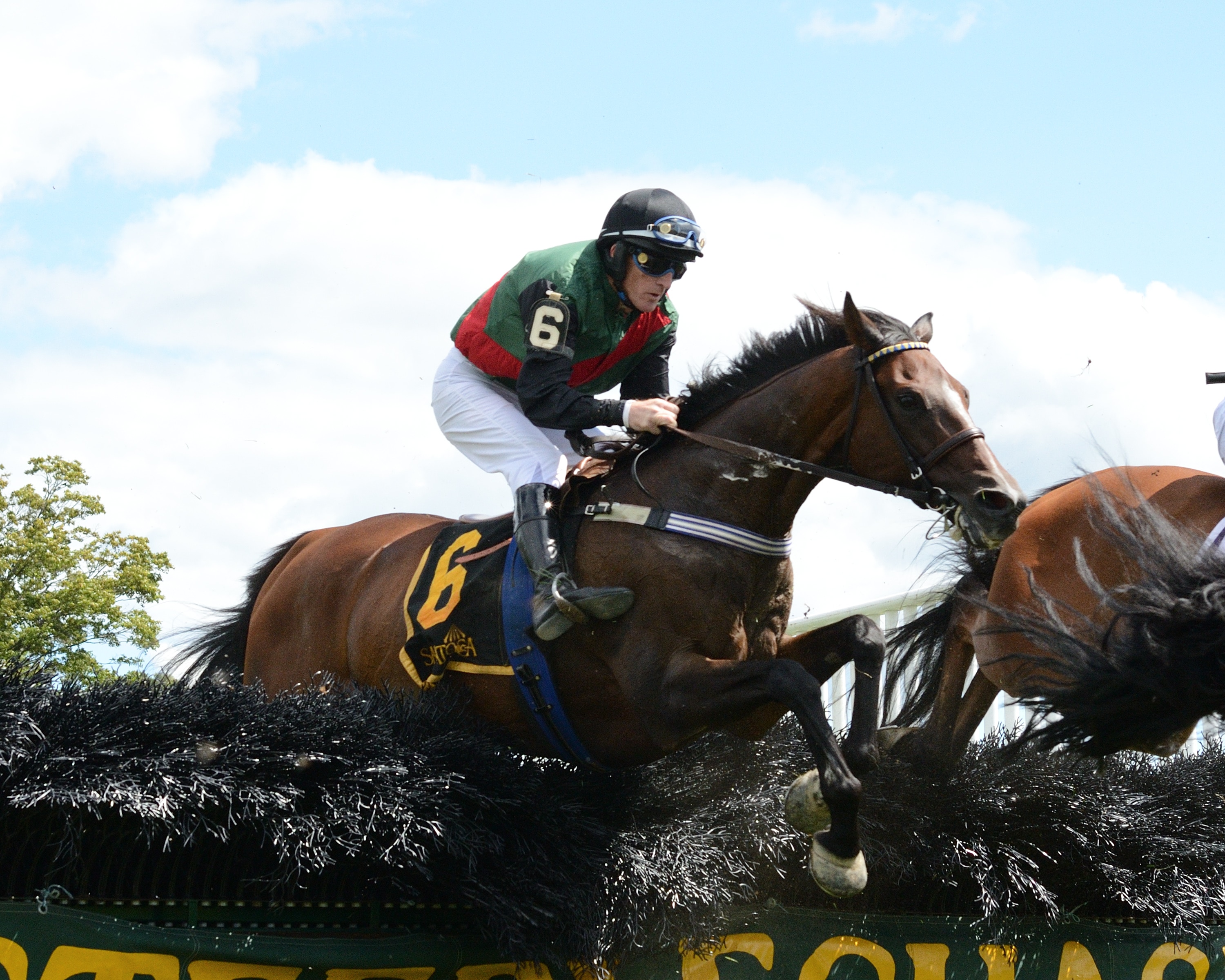 Diplomat upsets NY Turf Writers Cup at 17-1