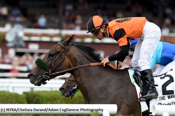 Estrechada prevails in Waya