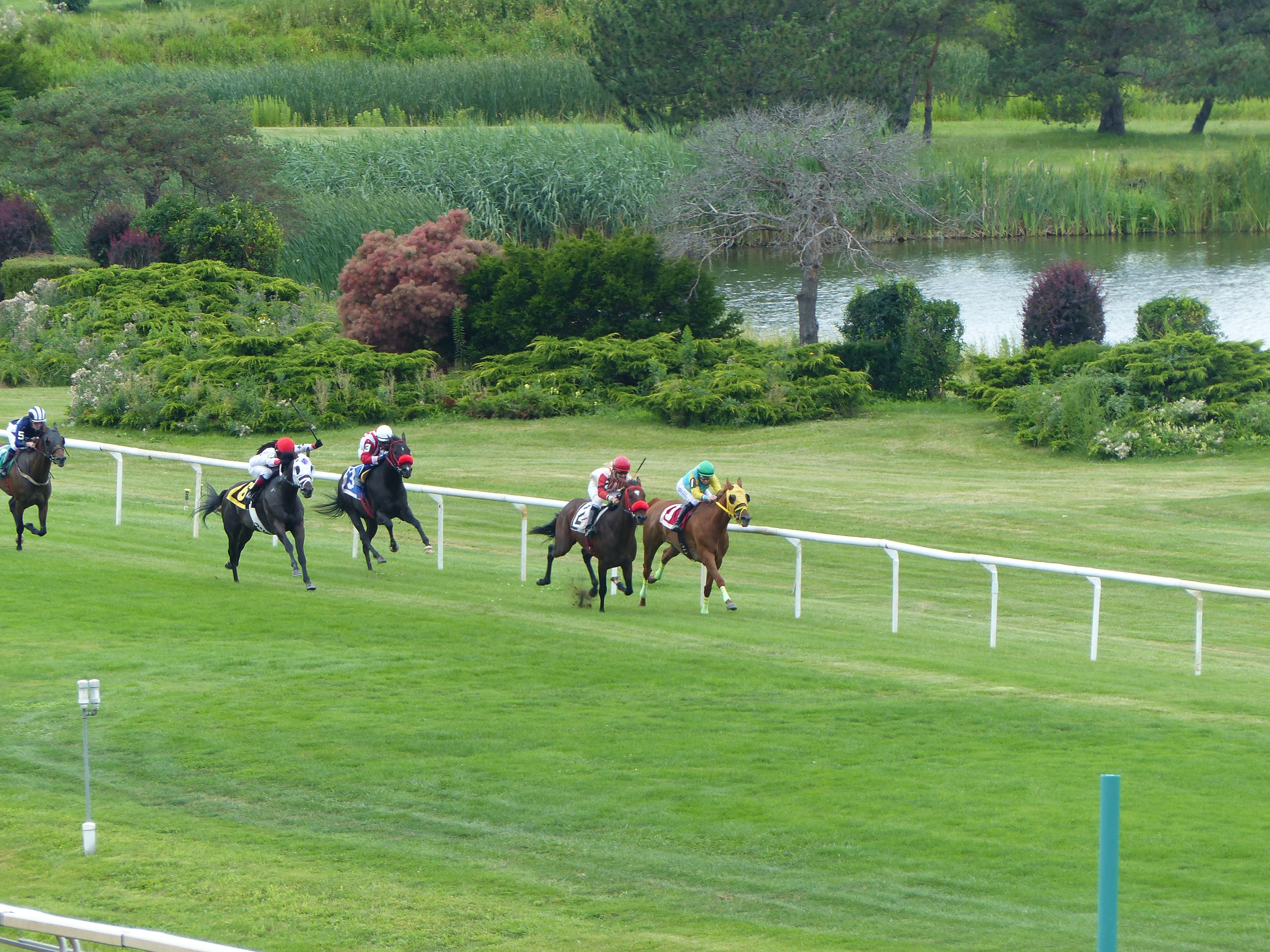 A Day at the Races: A Prince of a day at Fort Erie