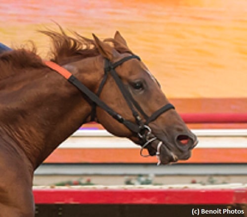 Giant Expectations earns Breeders’ Cup Dirt Mile berth with Pat O’Brien win