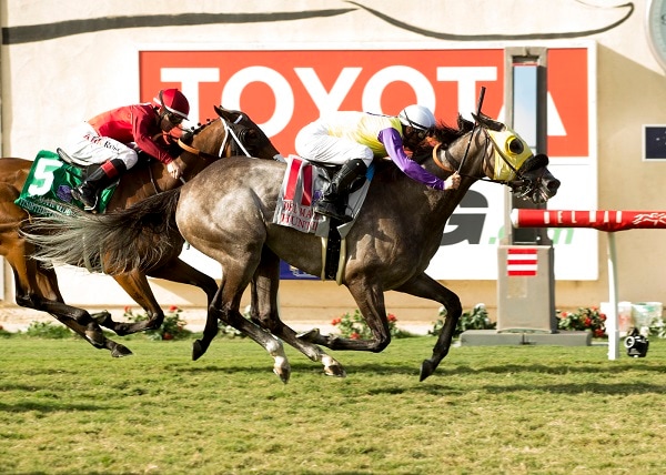 Hunt keeps rolling with Del Mar Handicap win