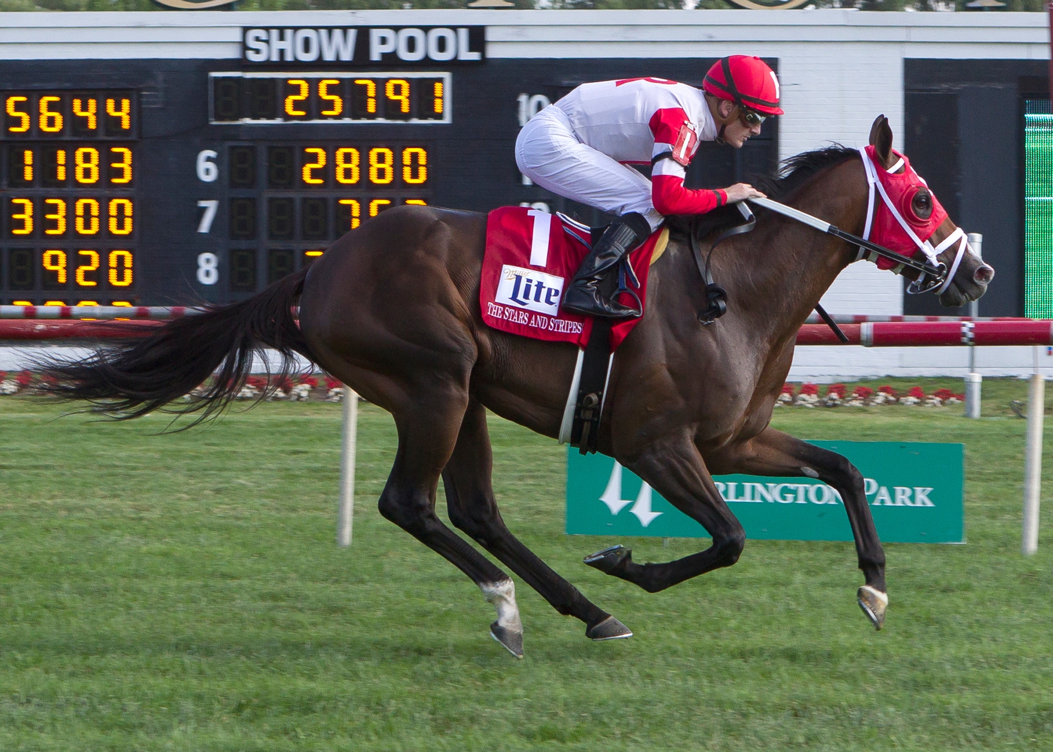 Keystoneforvictory the one to beat in American St. Leger