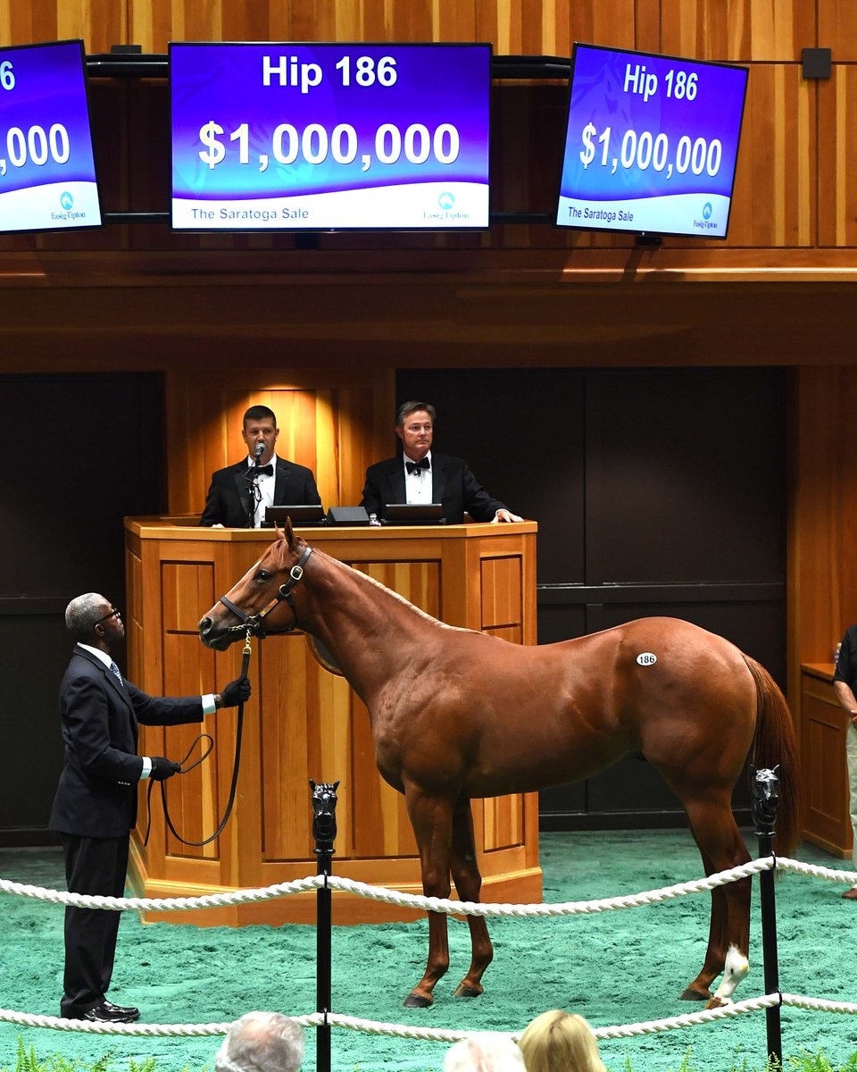 Business up at Fasig-Tipton Saratoga as Orb colt brings $1 million