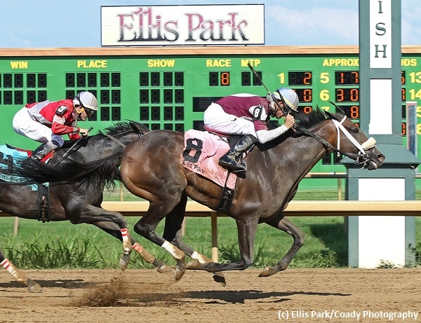 Tiger Moth rallies for victory in Groupie Doll