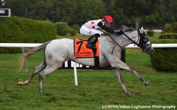 World Approval – 2017 Champion Turf Male