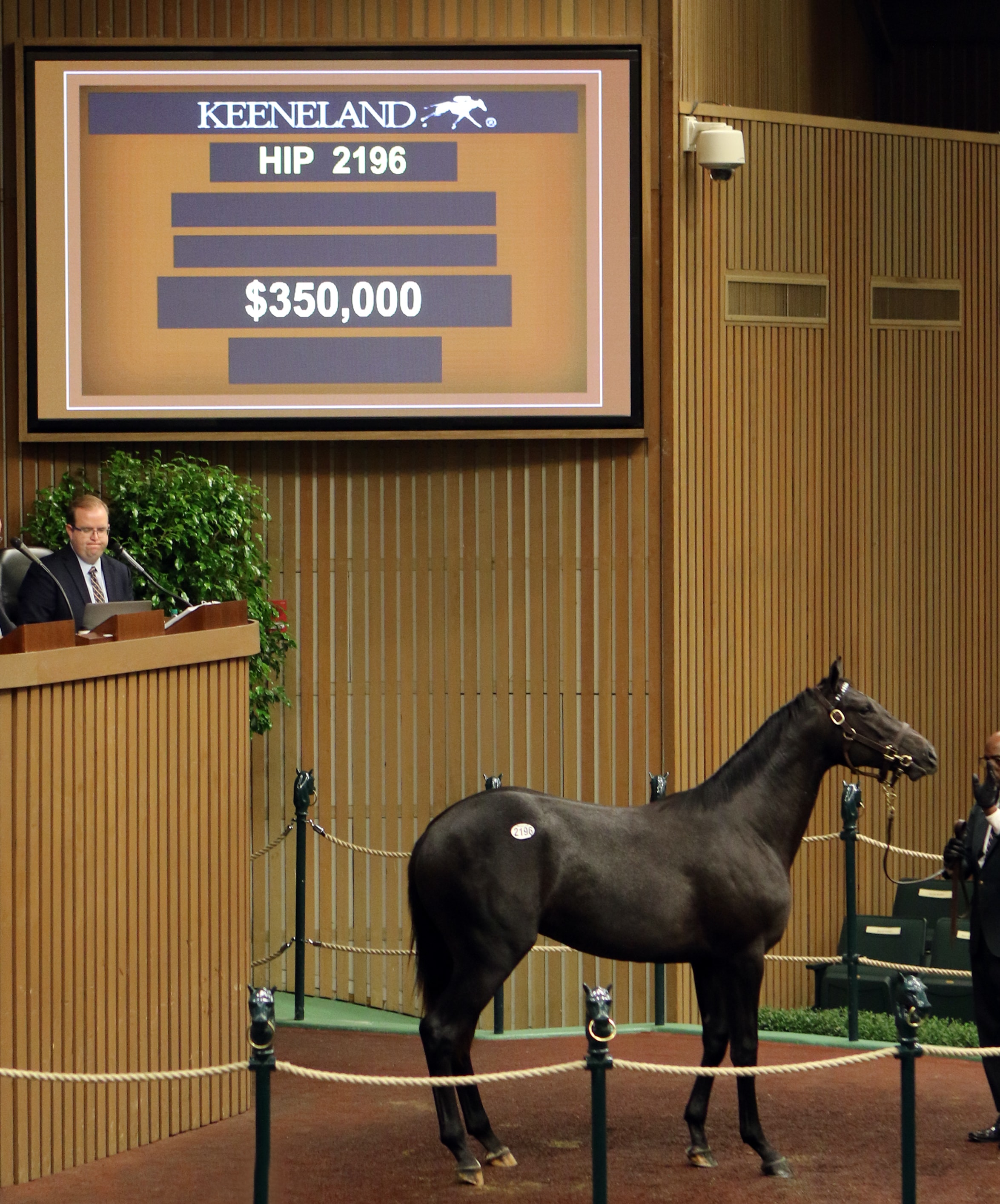 Cairo Prince colt tops seventh Keeneland session at $350,000