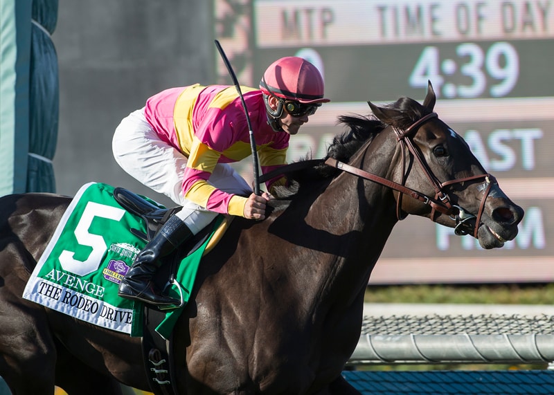 Avenge makes history with Rodeo Drive repeat