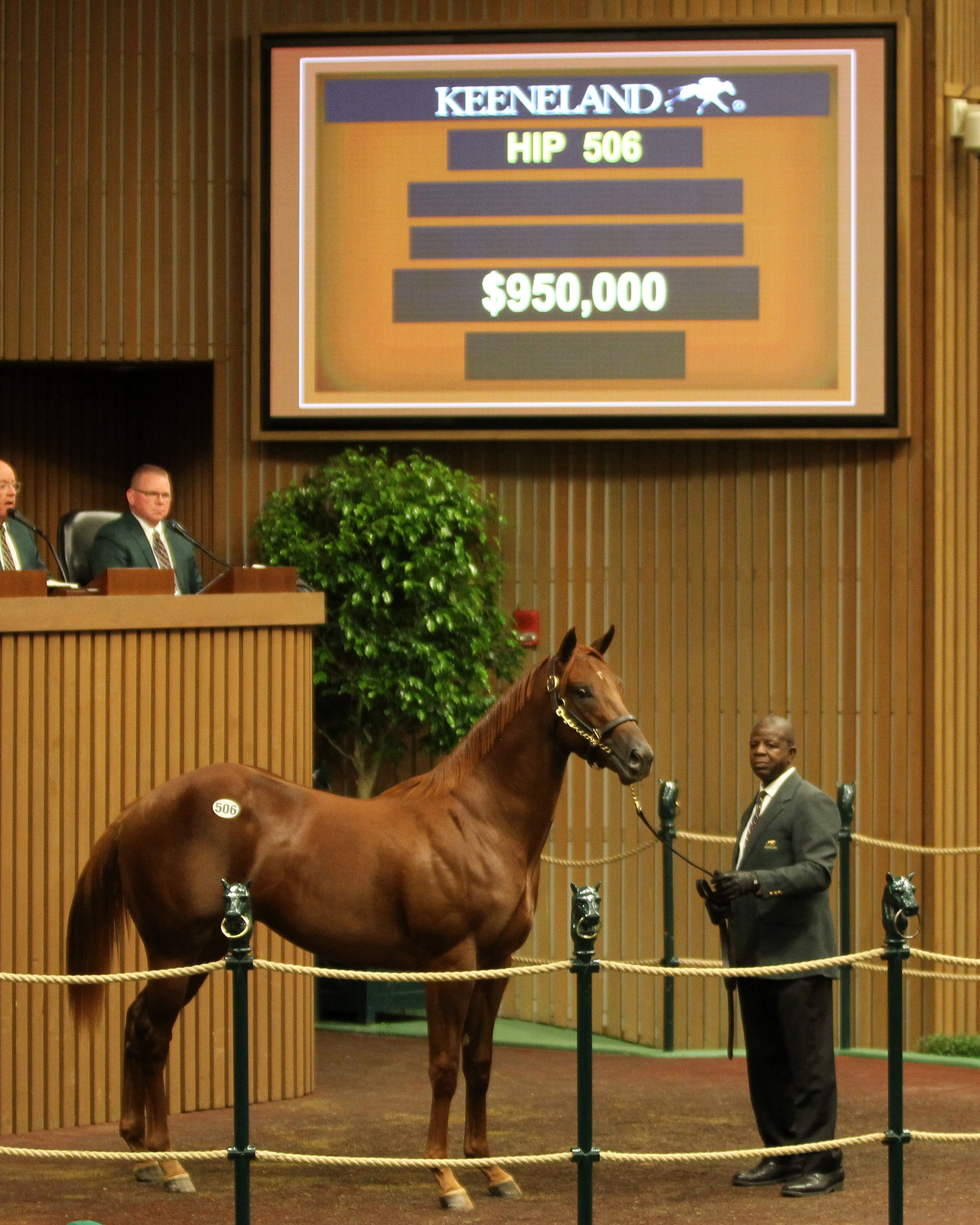 $950,000 Scat Daddy colt leads Day 2 at Keeneland