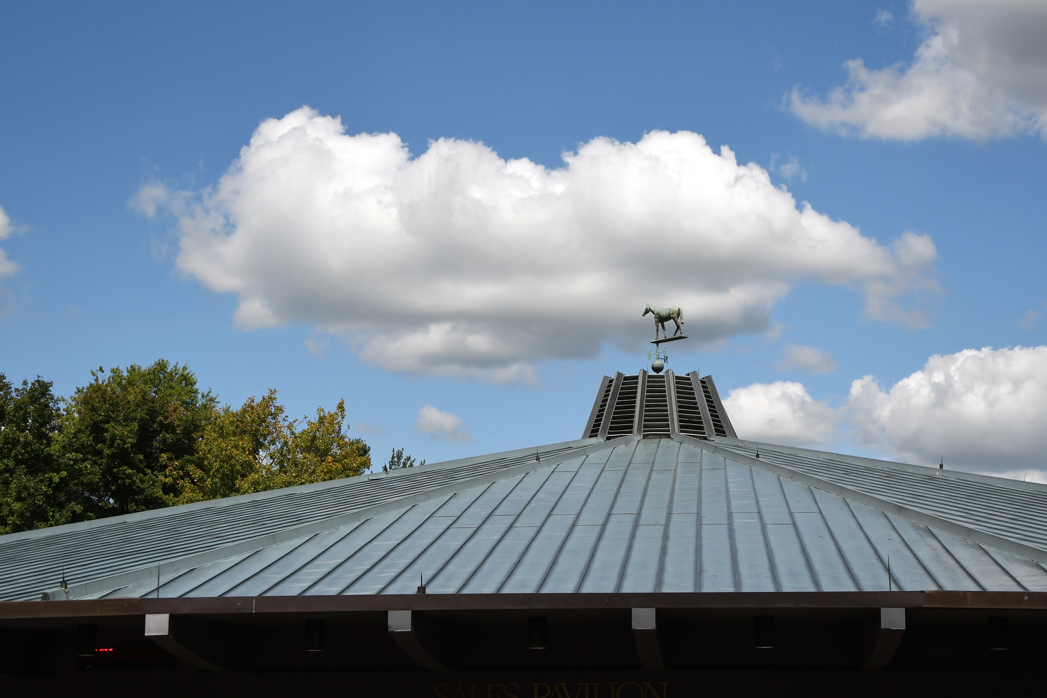 Keeneland September opens with new-look first week