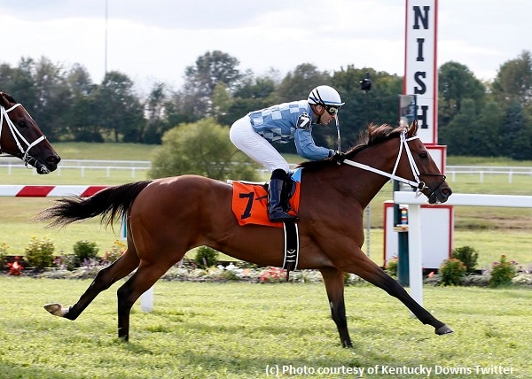 Mile the charm for Applicator in Tourist Mile