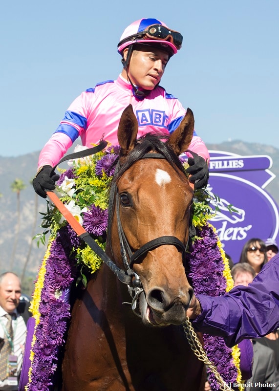 Champion Champagne Room headlines Bayakoa