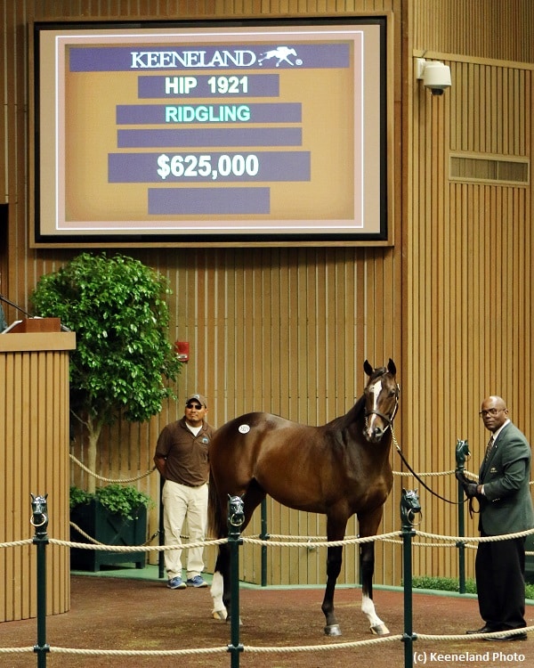 Colt by freshman sire Verrazano highlights sixth session of Keeneland September