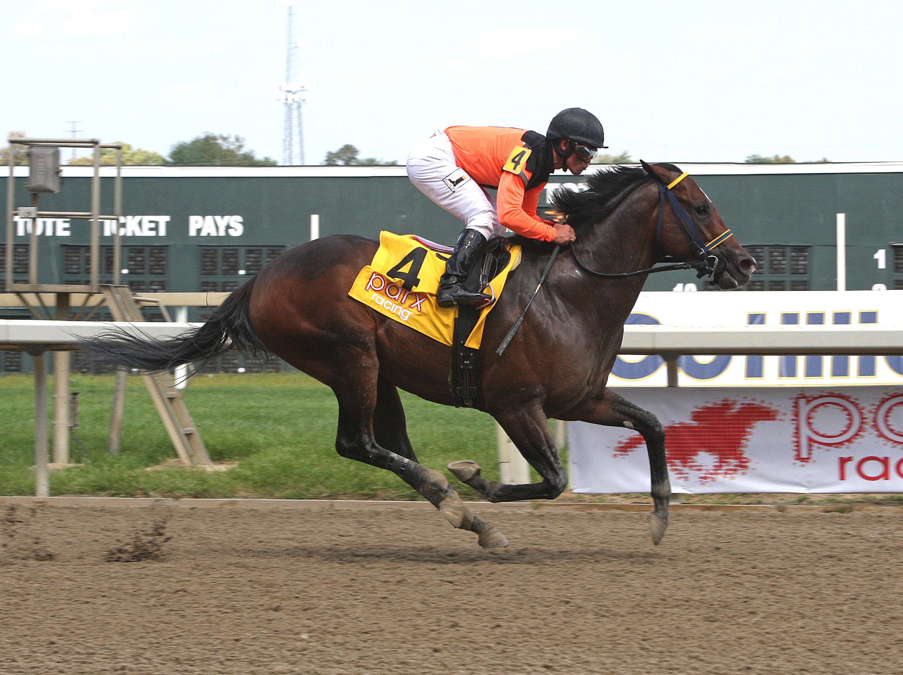 True North attracts eight; American Gal tops Bed o' Roses