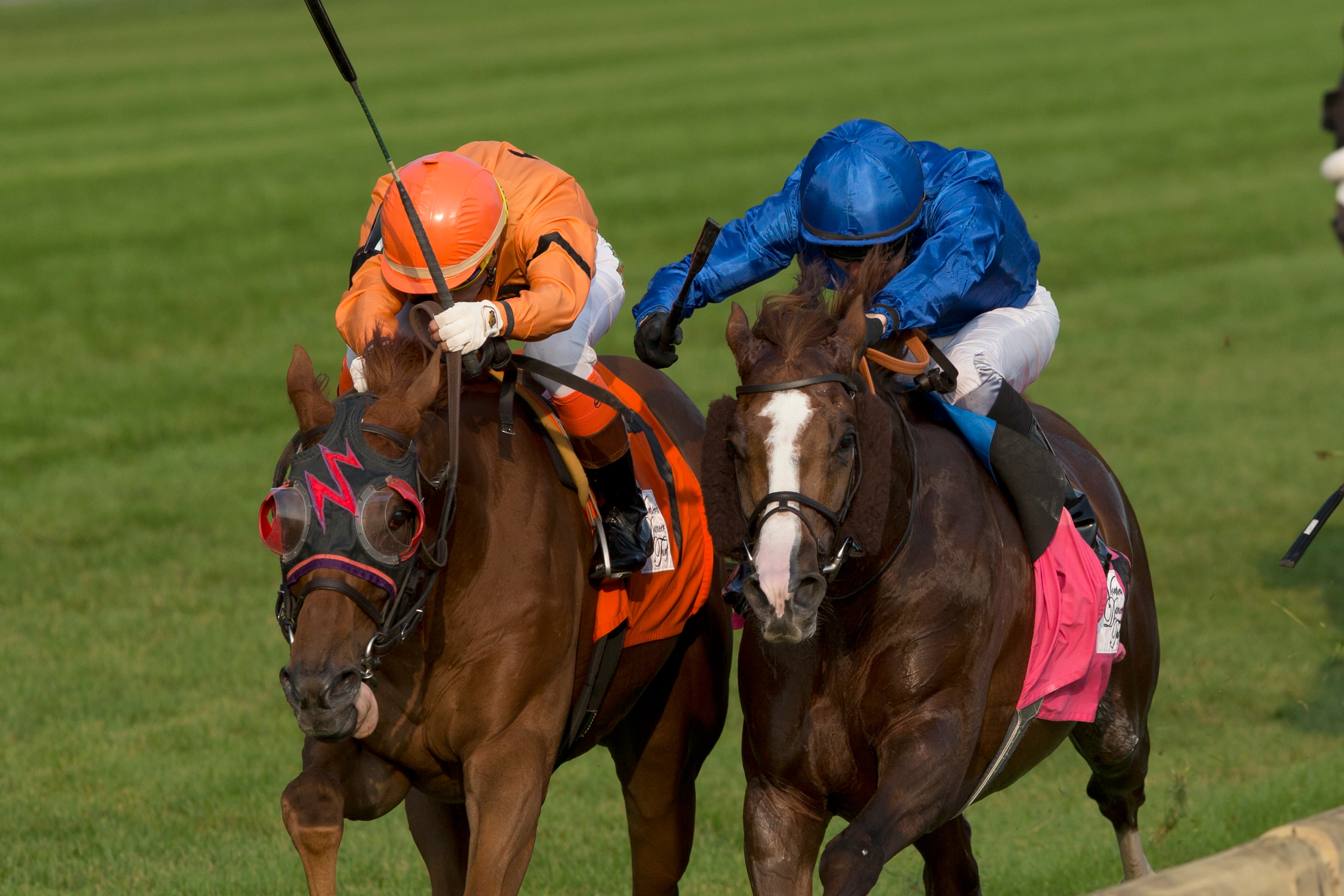 Johnny Bear topples Hawkbill; Quidura reigns on Woodbine turf