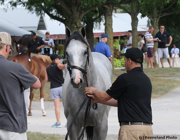 Keeneland September surpasses $300 million in gross sales for first time since 2008