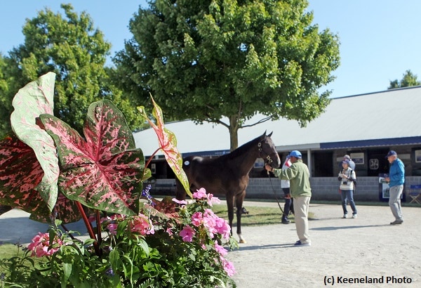 Keeneland September finishes with across-the-board gains