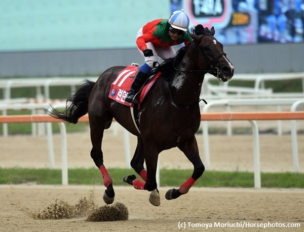 Japanese runners Graceful Leap, London Town triumph in Korea Sprint, Cup