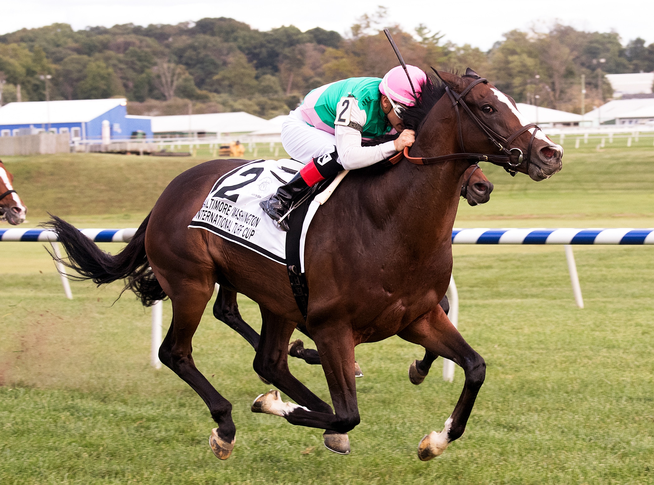 Projected, Rymska give Brown graded stakes double at Laurel