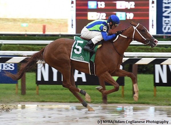 Vertical Oak romps in the slop to take Prioress