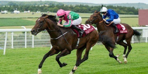 War Decree enters Breeders’ Cup Classic picture after flawless Diamond