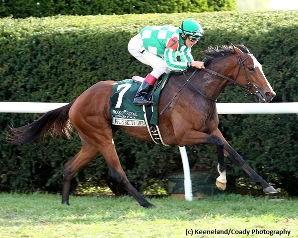Apple Betty skims rail for Dowager triumph