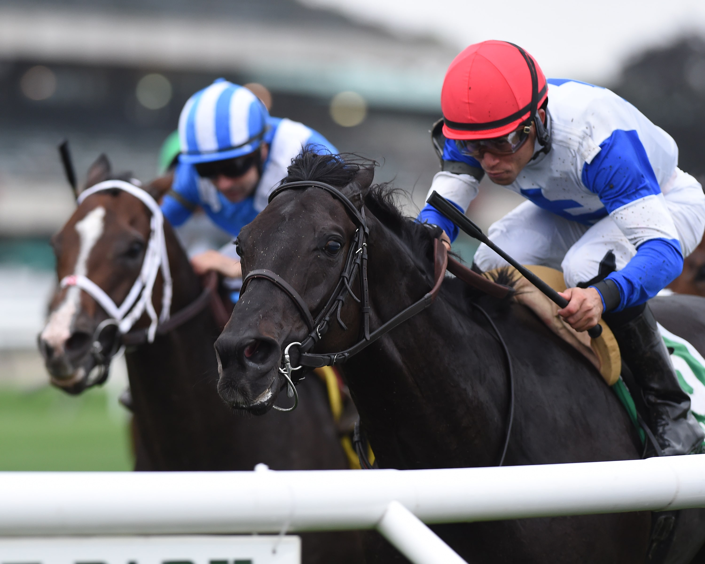 Blacktype adds some more in Knickerbocker