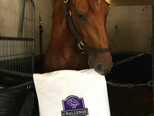 Zuma Beach, Surfer Girl promise Breeders’ Cup implications for turf juveniles