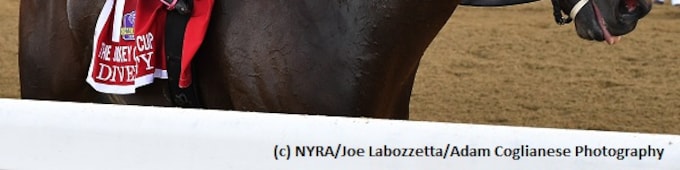 Diversify to be pre-entered for Breeders’ Cup Classic following breeze