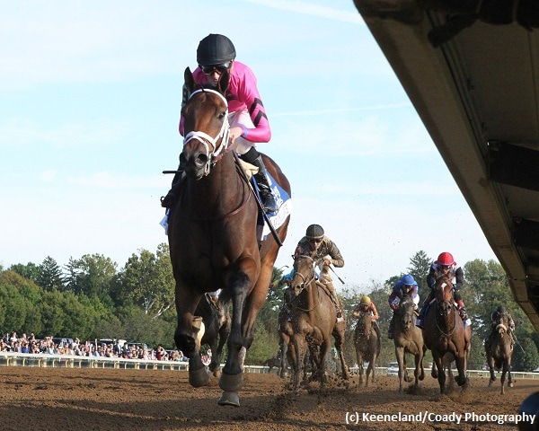 Heavenly Love romps in Alcibiades