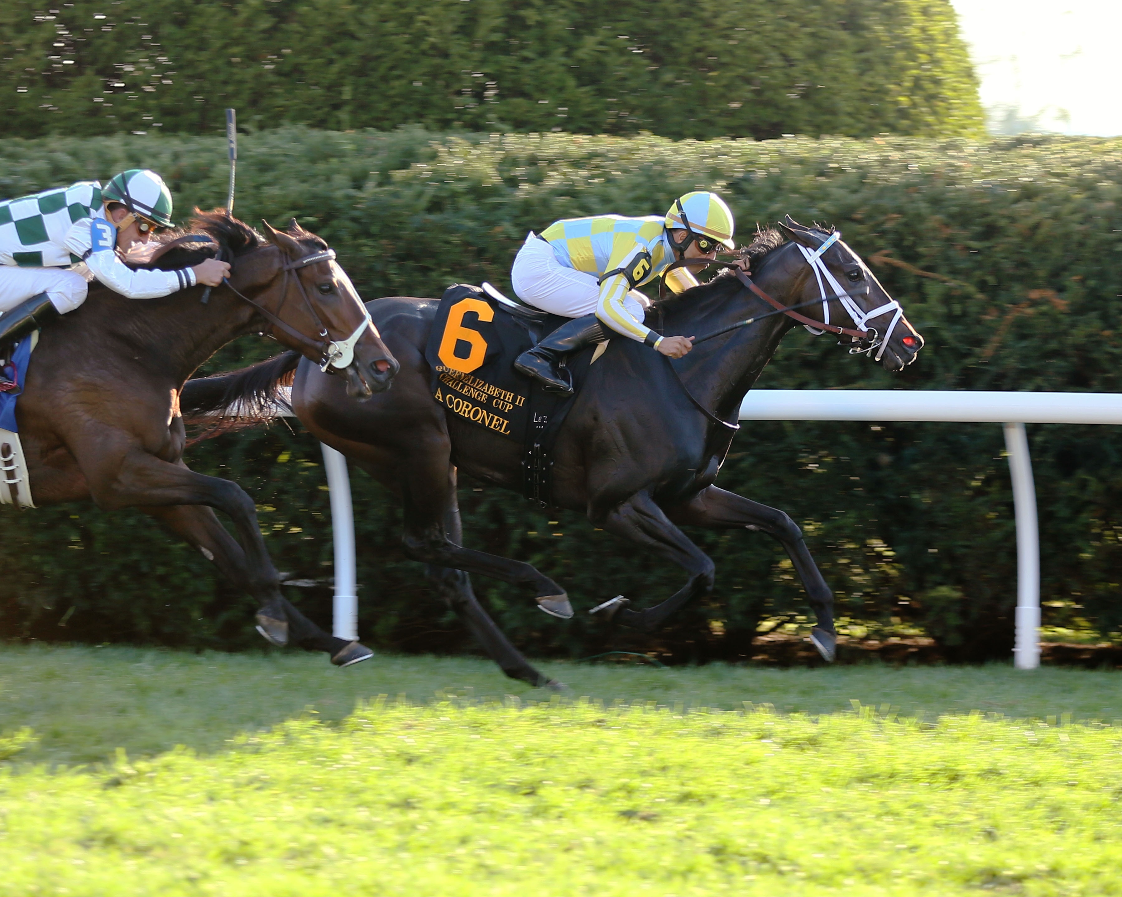 La Coronel rises back to the top following Queen Elizabeth II Challenge Cup