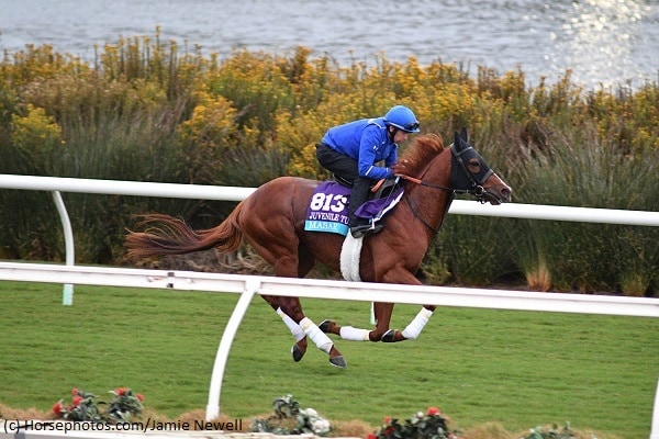 International invaders top contenders in Juvenile Turf