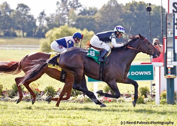 Miss Temple City goes for title defense in Shadwell Turf Mile; Hogy headlines Woodford
