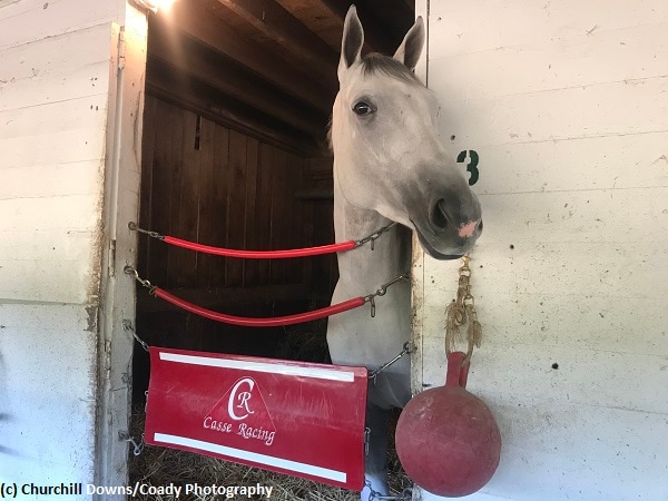 Workers out in force one week before Breeders’ Cup Friday