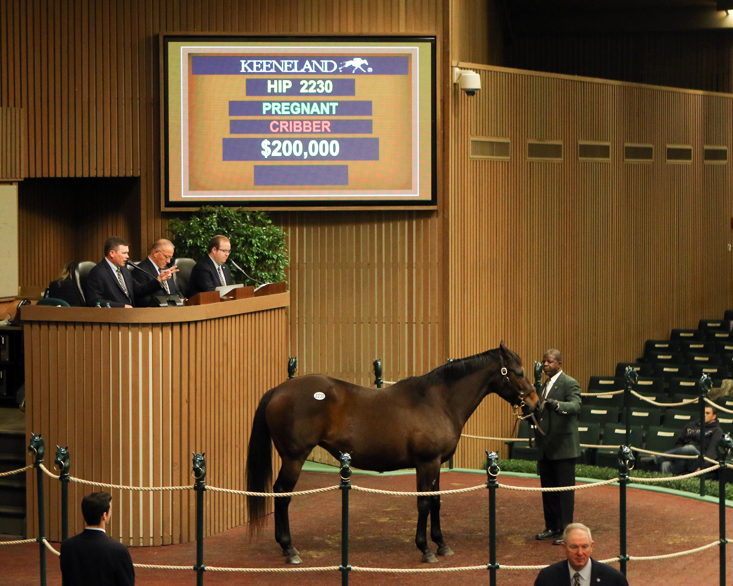 Intangaroo, Mrs. Hudson top Keeneland session at $200,000