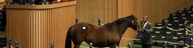 Intangaroo, Mrs. Hudson top Keeneland session at $200,000