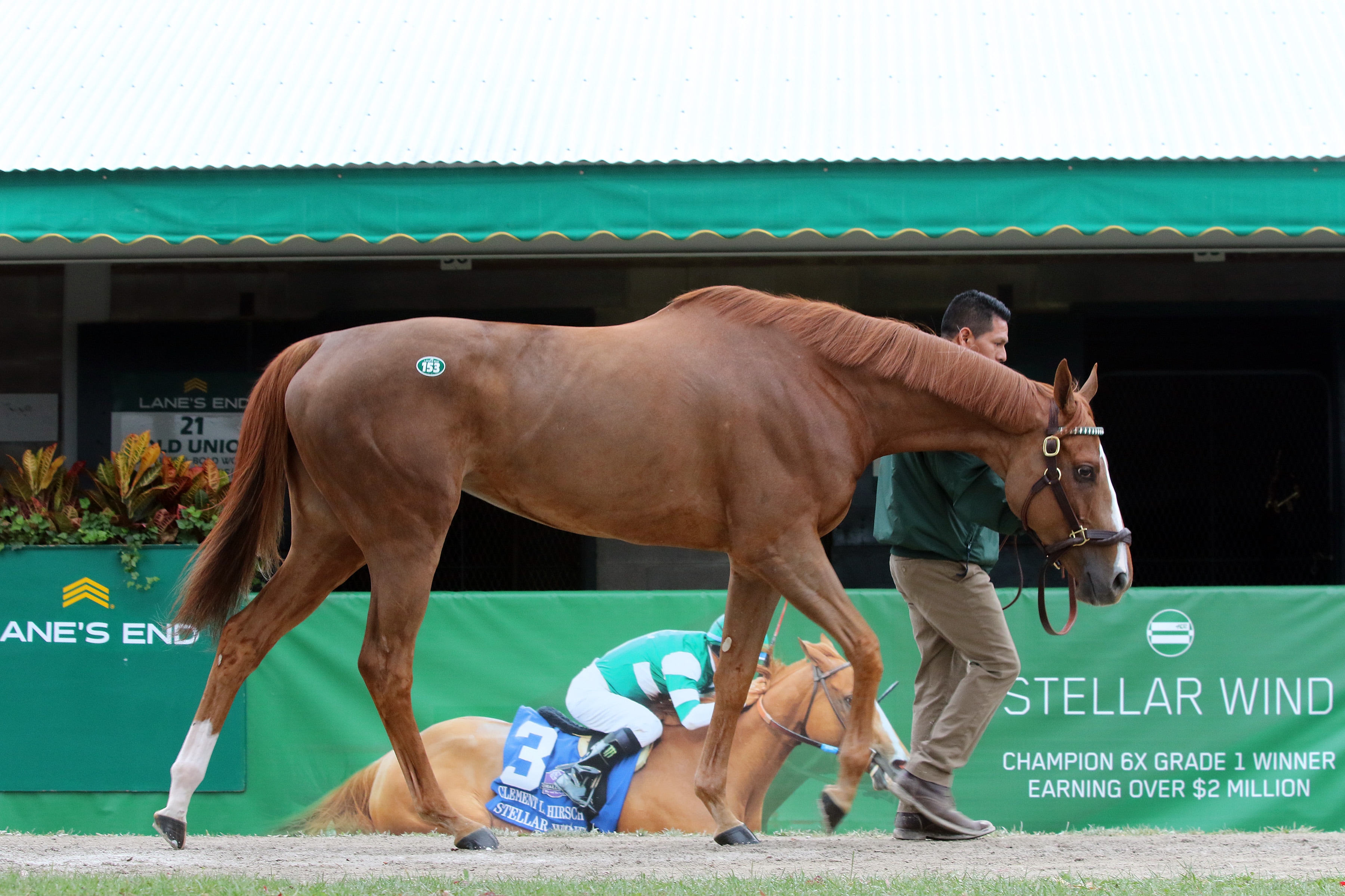 Keeneland November begins 12-day run on Tuesday