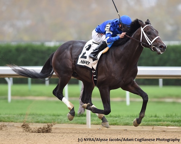 Avery Island, Catholic Boy bring top credentials to Remsen