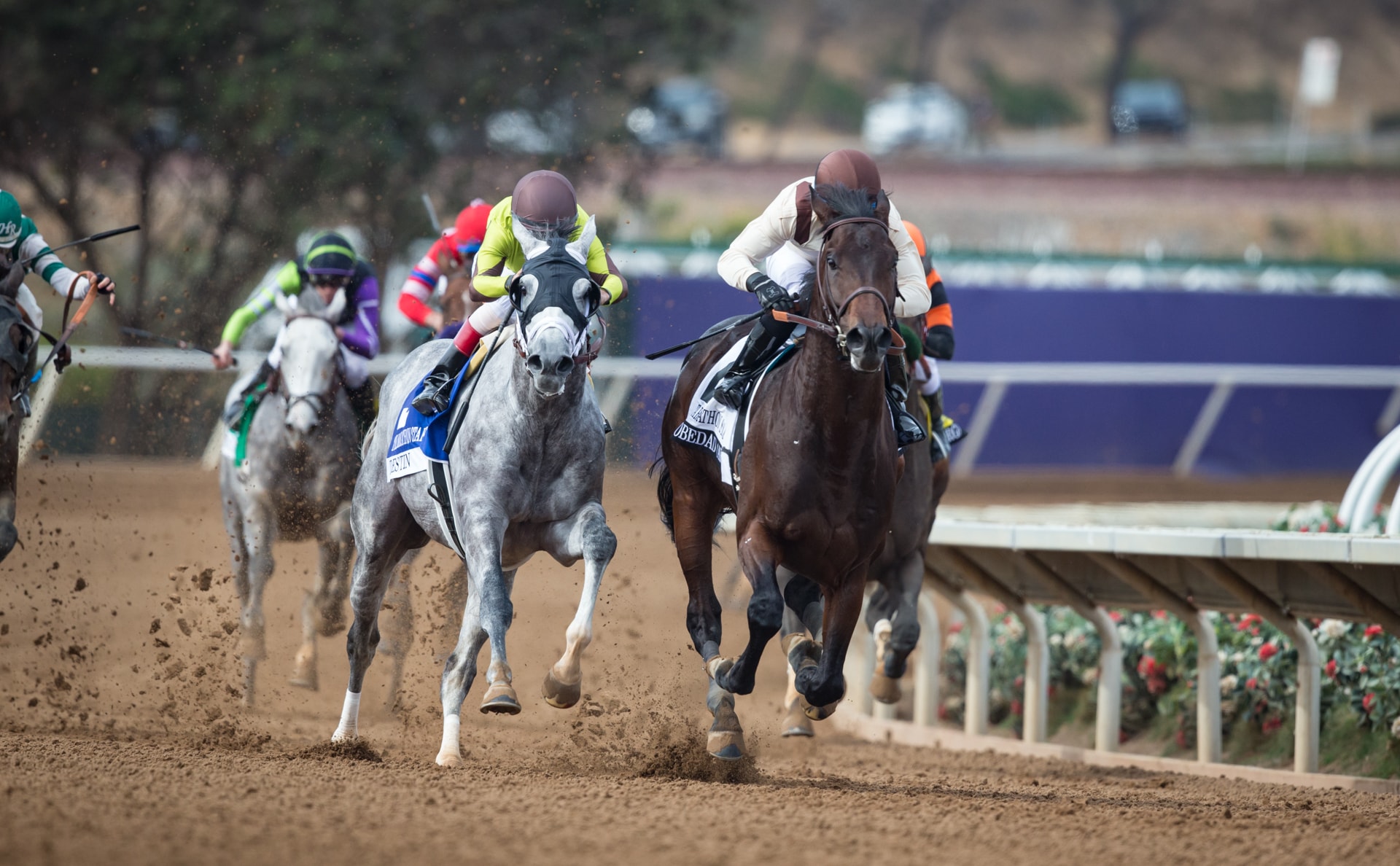 Destin stalks and pounces his way to Marathon victory