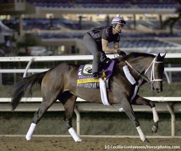 Eclipse Awards on the line in Breeders’ Cup Distaff